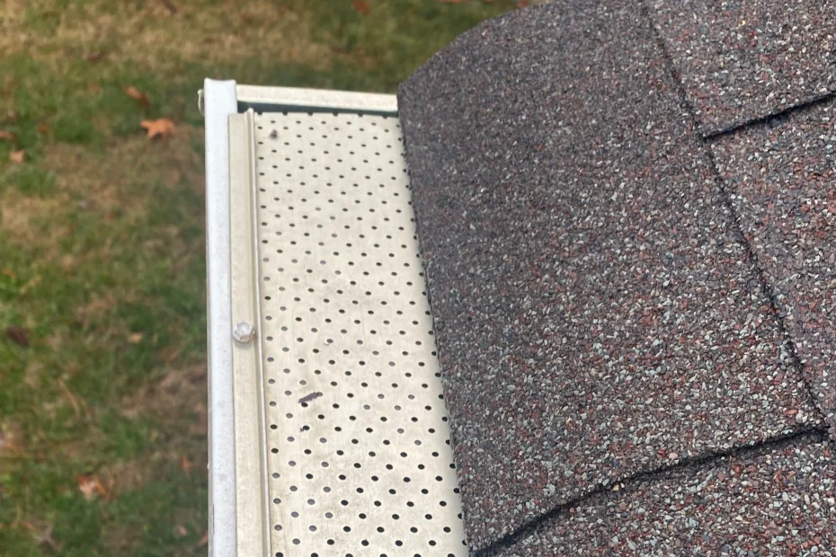 Ashville Gutter Cleaning