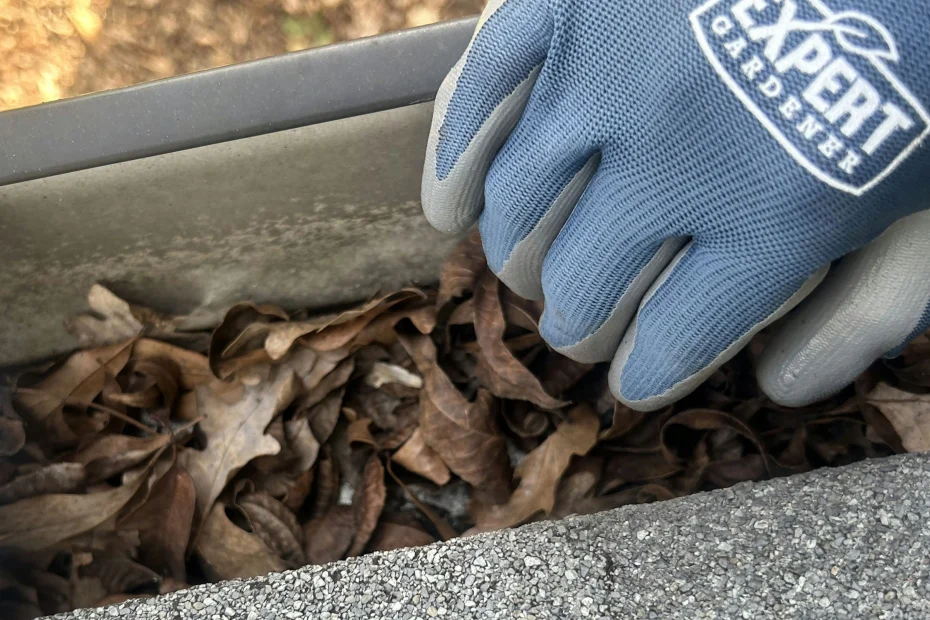 Gutter Cleaning Ashville