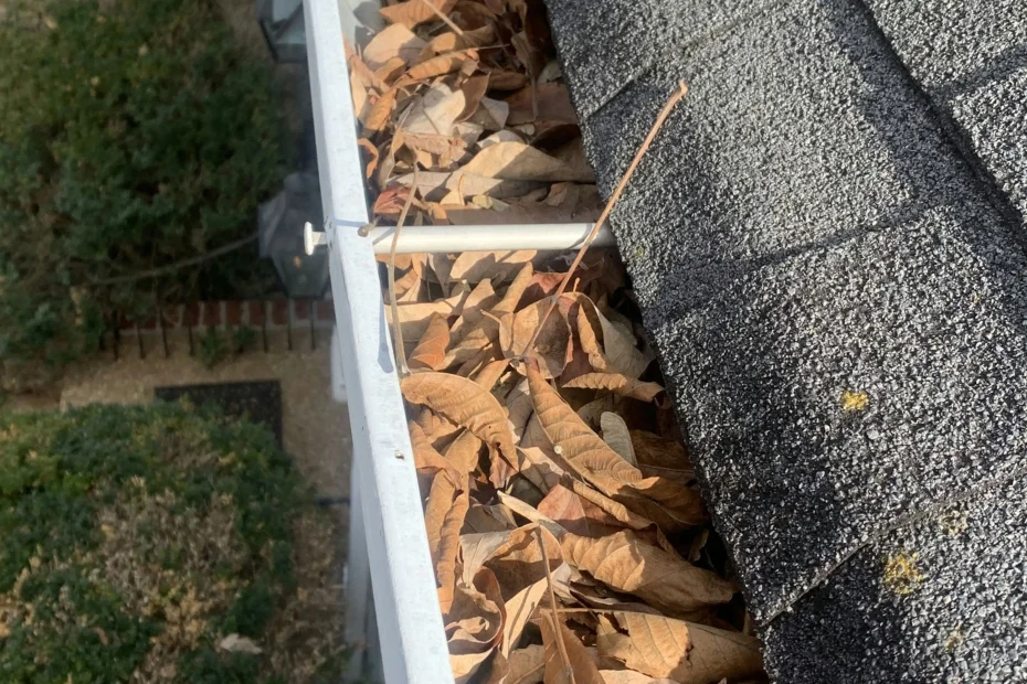 Gutter Cleaning Ashville